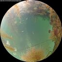 ./images/calvert/underwater/20260829/underwater20260829_072501M.jpg