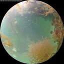 ./images/calvert/underwater/20260829/underwater20260829_073502M.jpg
