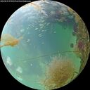 ./images/calvert/underwater/20260829/underwater20260829_074501M.jpg
