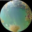 ./images/calvert/underwater/20260829/underwater20260829_080001M.jpg