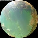 ./images/calvert/underwater/20260829/underwater20260829_081001M.jpg