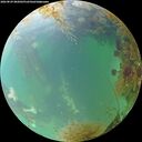 ./images/calvert/underwater/20260829/underwater20260829_082002M.jpg
