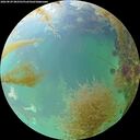 ./images/calvert/underwater/20260829/underwater20260829_082501M.jpg