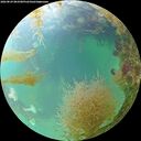 ./images/calvert/underwater/20260829/underwater20260829_083501M.jpg