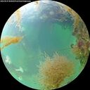 ./images/calvert/underwater/20260829/underwater20260829_084001M.jpg