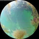 ./images/calvert/underwater/20260829/underwater20260829_085001M.jpg