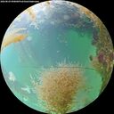 ./images/calvert/underwater/20260829/underwater20260829_090001M.jpg