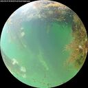 ./images/calvert/underwater/20260829/underwater20260829_094001M.jpg