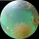 ./images/calvert/underwater/20260829/underwater20260829_095501M.jpg