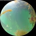 ./images/calvert/underwater/20260829/underwater20260829_100001M.jpg