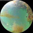 ./images/calvert/underwater/20260829/underwater20260829_101501M.jpg