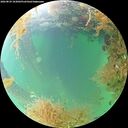 ./images/calvert/underwater/20260829/underwater20260829_103001M.jpg