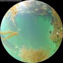 ./images/calvert/underwater/20260829/underwater20260829_103501M.jpg