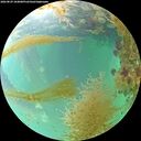 ./images/calvert/underwater/20260829/underwater20260829_104001M.jpg