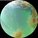 ./images/calvert/underwater/20260829/underwater20260829_105501M.jpg