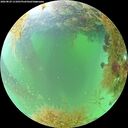./images/calvert/underwater/20260829/underwater20260829_111001M.jpg