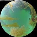 ./images/calvert/underwater/20260829/underwater20260829_112001M.jpg