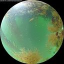 ./images/calvert/underwater/20260829/underwater20260829_112501M.jpg