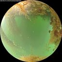 ./images/calvert/underwater/20260829/underwater20260829_113501M.jpg