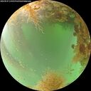 ./images/calvert/underwater/20260829/underwater20260829_114501M.jpg
