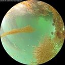 ./images/calvert/underwater/20260829/underwater20260829_120501M.jpg