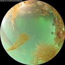 ./images/calvert/underwater/20260829/underwater20260829_121501M.jpg