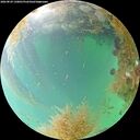 ./images/calvert/underwater/20260829/underwater20260829_130001M.jpg