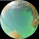 ./images/calvert/underwater/20260829/underwater20260829_130501M.jpg