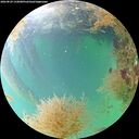 ./images/calvert/underwater/20260829/underwater20260829_132001M.jpg