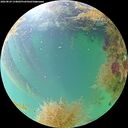 ./images/calvert/underwater/20260829/underwater20260829_134001M.jpg