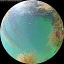 ./images/calvert/underwater/20260829/underwater20260829_134502M.jpg