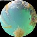 ./images/calvert/underwater/20260829/underwater20260829_140501M.jpg
