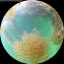 ./images/calvert/underwater/20260829/underwater20260829_141501M.jpg