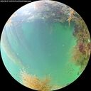 ./images/calvert/underwater/20260829/underwater20260829_142501M.jpg
