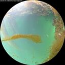 ./images/calvert/underwater/20260829/underwater20260829_144001M.jpg