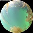 ./images/calvert/underwater/20260829/underwater20260829_145002M.jpg