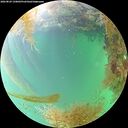 ./images/calvert/underwater/20260829/underwater20260829_150002M.jpg