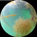 ./images/calvert/underwater/20260829/underwater20260829_151001M.jpg