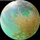 ./images/calvert/underwater/20260829/underwater20260829_152501M.jpg