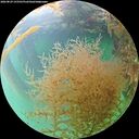 ./images/calvert/underwater/20260829/underwater20260829_155501M.jpg