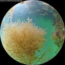 ./images/calvert/underwater/20260829/underwater20260829_160001M.jpg