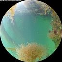 ./images/calvert/underwater/20260829/underwater20260829_161501M.jpg