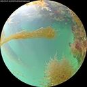 ./images/calvert/underwater/20260829/underwater20260829_162501M.jpg
