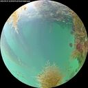./images/calvert/underwater/20260829/underwater20260829_163001M.jpg