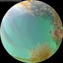 ./images/calvert/underwater/20260829/underwater20260829_163501M.jpg