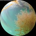 ./images/calvert/underwater/20260829/underwater20260829_165001M.jpg
