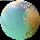 ./images/calvert/underwater/20260829/underwater20260829_170502M.jpg