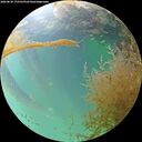 ./images/calvert/underwater/20260829/underwater20260829_172501M.jpg