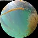 ./images/calvert/underwater/20260829/underwater20260829_173001M.jpg