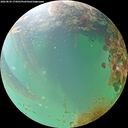 ./images/calvert/underwater/20260829/underwater20260829_174501M.jpg